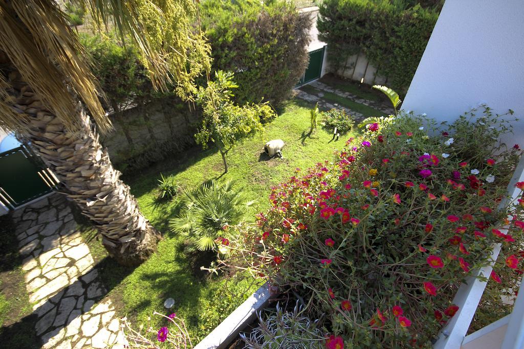 B&B Villa Genny A Pochi Passi Dal Mare San Cataldo  Rom bilde