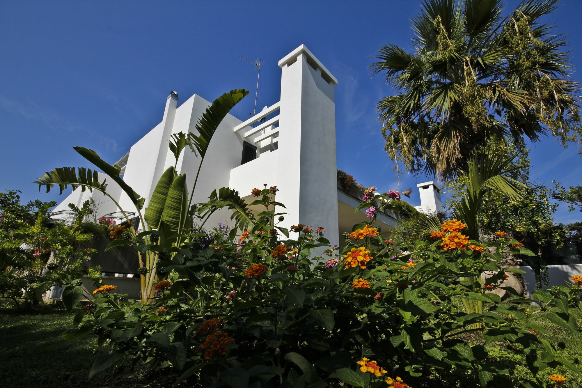 B&B Villa Genny A Pochi Passi Dal Mare San Cataldo  Eksteriør bilde